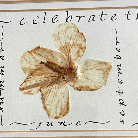 Shabby Dry Flowers in Frame Celebrate The Seasons‎ - Framed Floral Art Decor/ - Picture 5 of 16